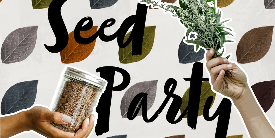 Seed Party