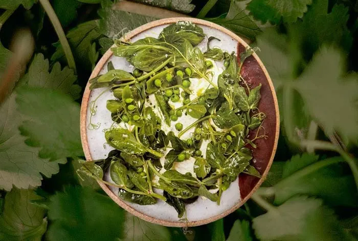 Super Green Spring Recipe
