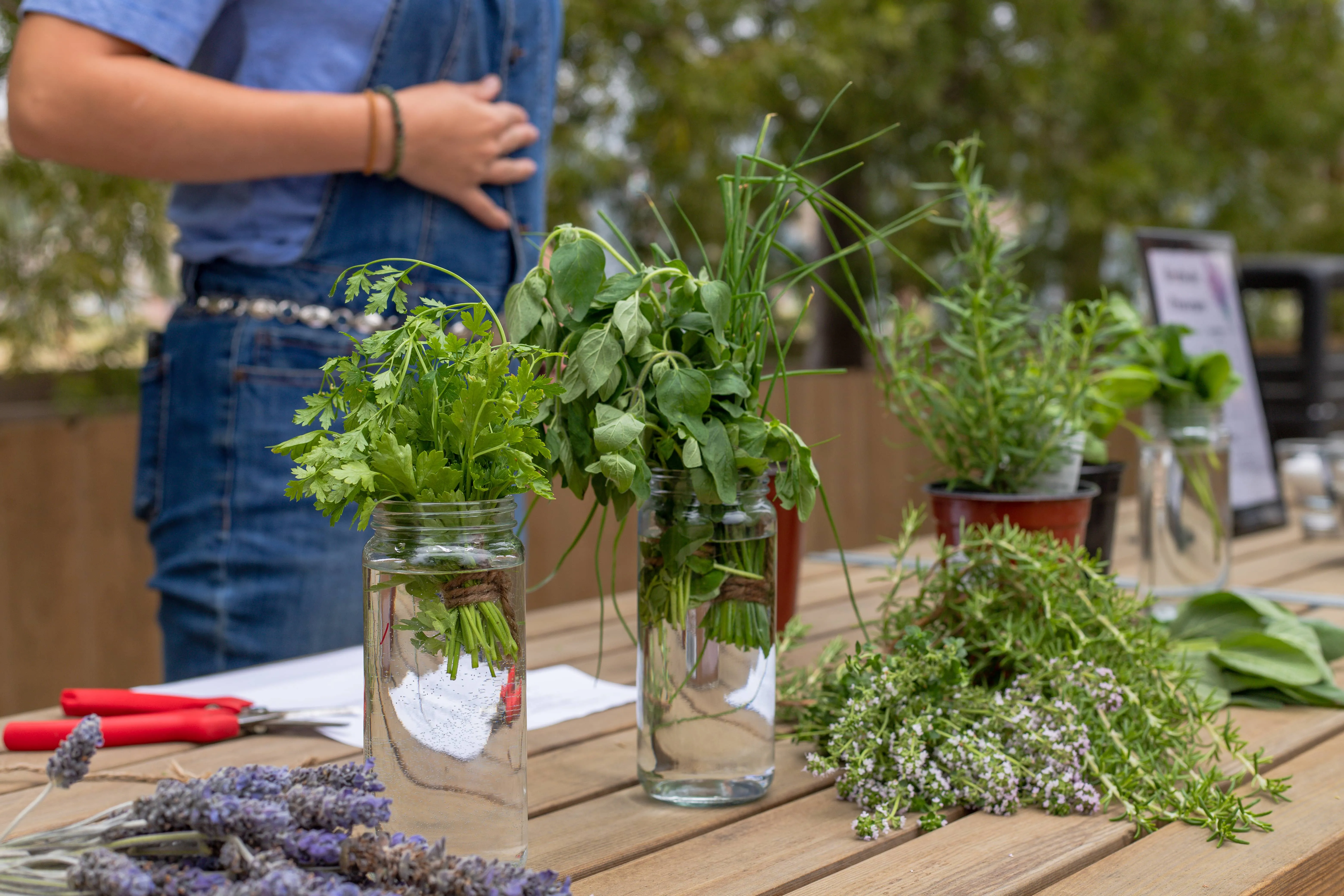 The summer season’s best seasonings