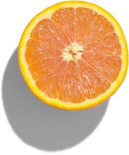 Valencia Orange
