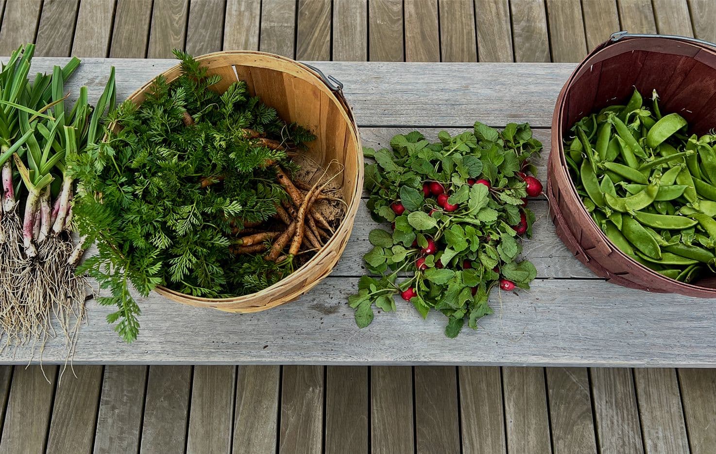 Fresh Food, Fresh Air