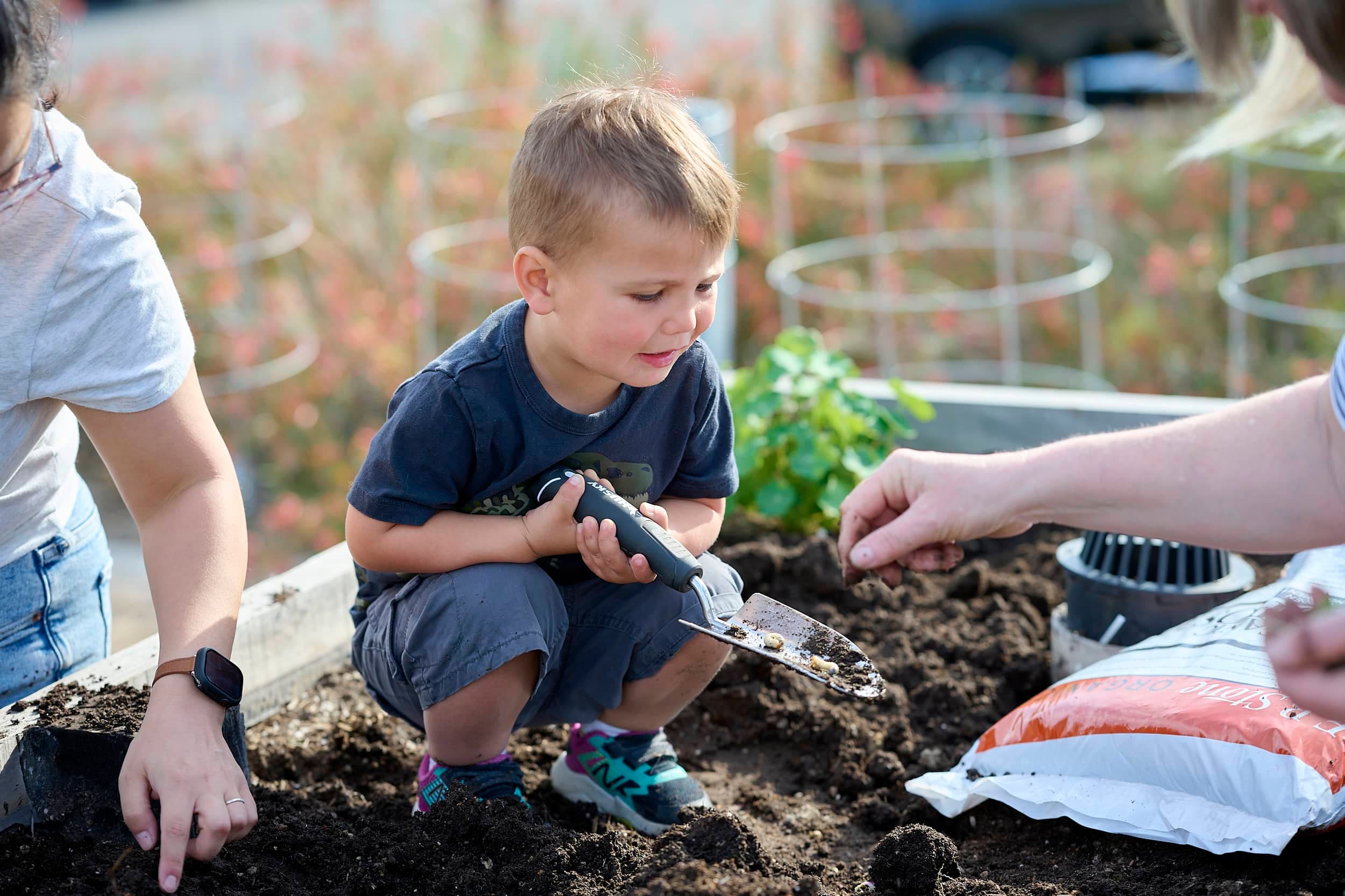 Big Ideas for a Greener Future