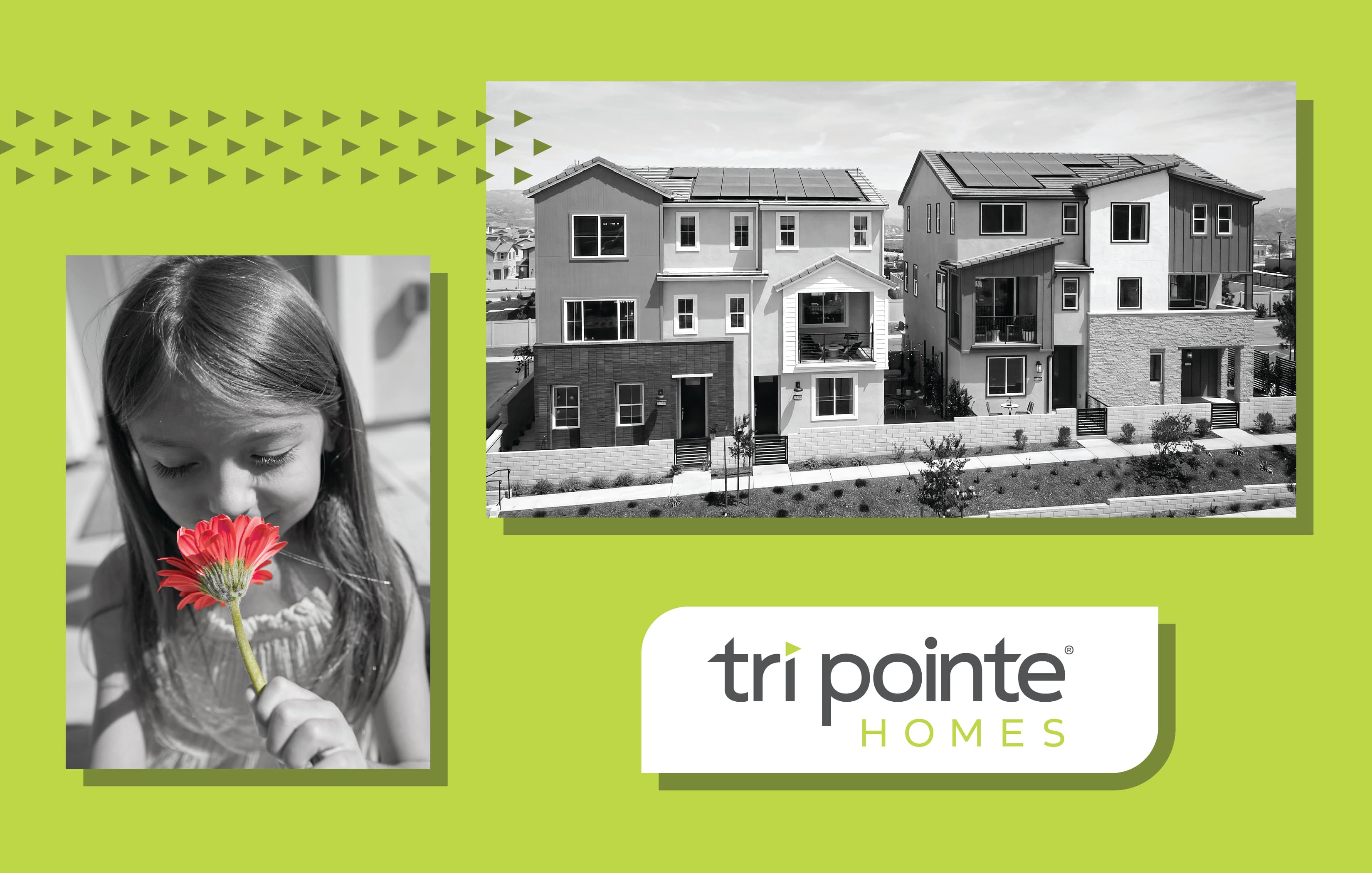 Live Brilliantly at Wren by Tri Pointe July 18th